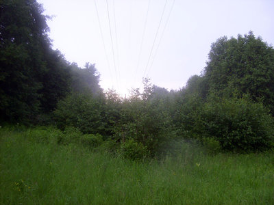 170.JPG