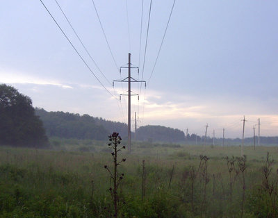 172.JPG