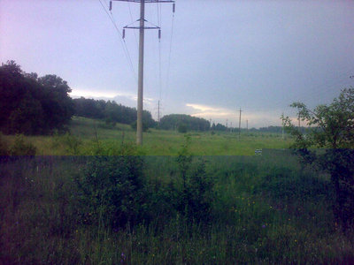 175.jpg