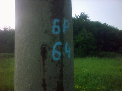 176.jpg