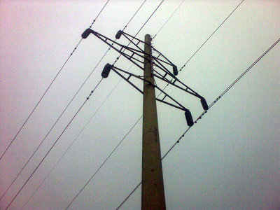 181.jpg
