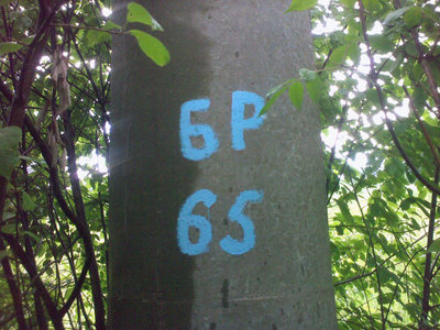 183.jpg