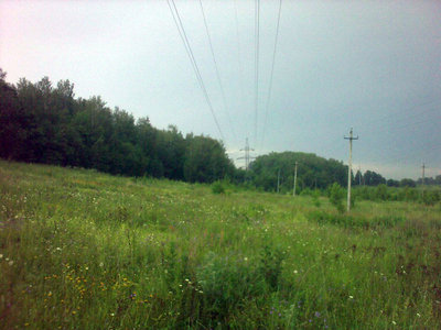 184.jpg