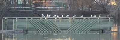 DSCF1044.JPG