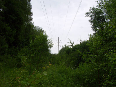 187.JPG