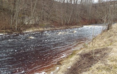 DSCF0947.JPG