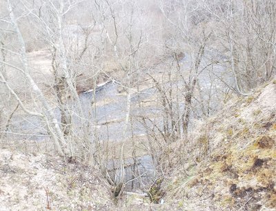 DSCF0952.JPG