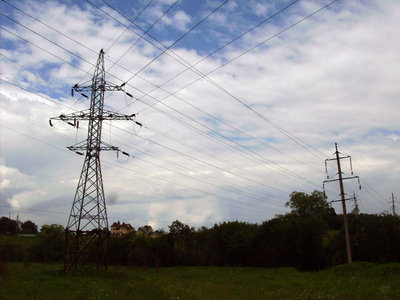 196.JPG