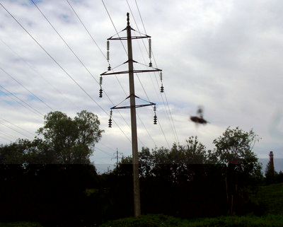 197.JPG