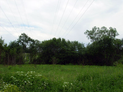 198.JPG