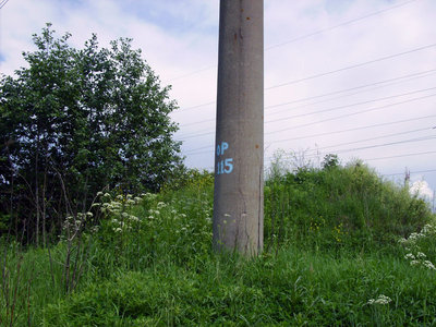 207.JPG