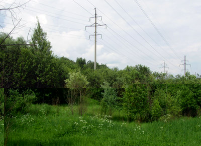 209.JPG