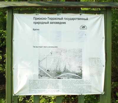 DSCF1779.JPG