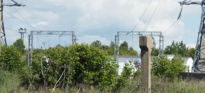 DSCF2146.JPG