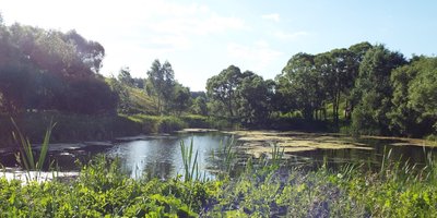 DSCF2186.JPG