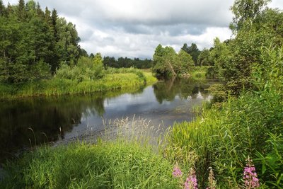 DSCF2561.JPG