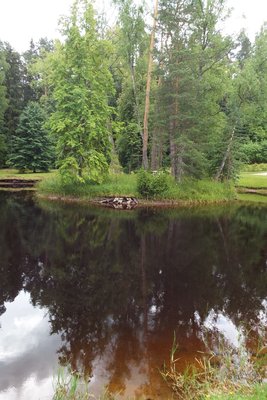 DSCF2825.JPG
