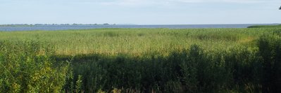 DSCF3147.JPG
