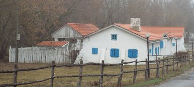 DSCF6022.JPG