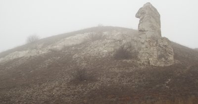 DSCF6021.JPG