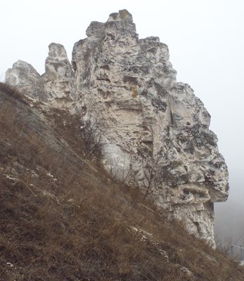 DSCF6009.JPG