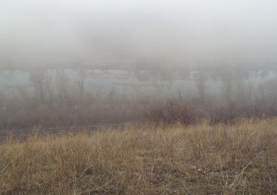 DSCF6003.JPG