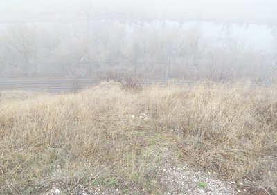 DSCF6006.JPG