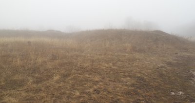 DSCF6001.JPG