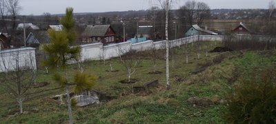 DSCF4916.JPG