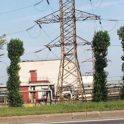 DSCF8290.JPG