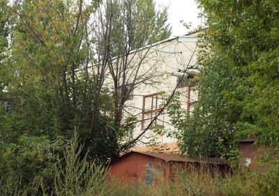 DSCF8354.JPG