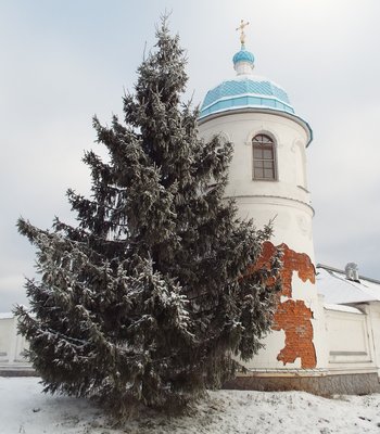 DSCF8845.JPG