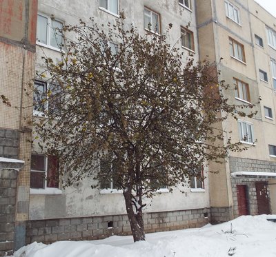 DSCF8921.JPG