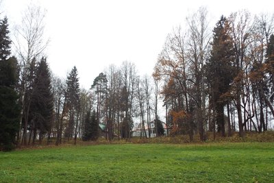 DSCF8751.JPG