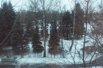 DSCF9340.JPG