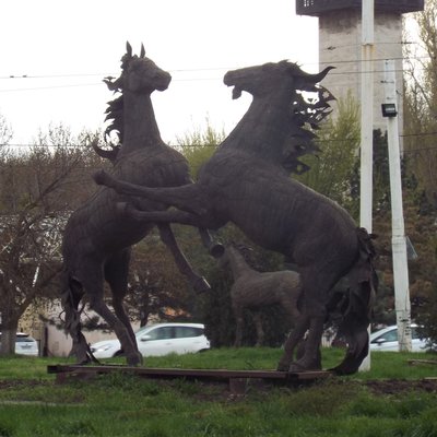 DSCF2315.JPG