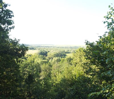 DSCF4924.JPG