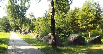 DSCF5497.JPG