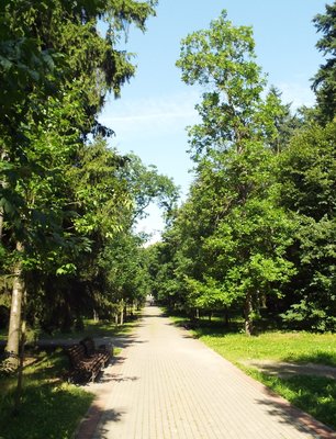 DSCF5555.JPG