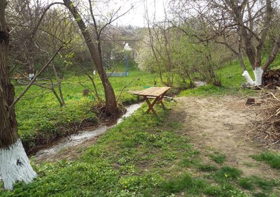 DSCF2309.JPG