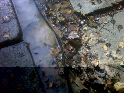 13102012717.jpg