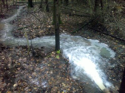 17102012773.jpg
