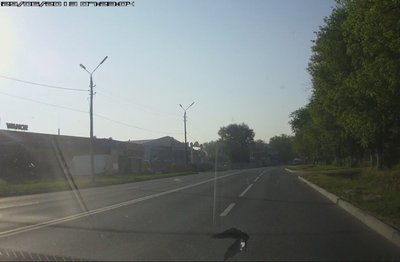 Птица.jpg
