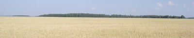 DSCF7854.JPG