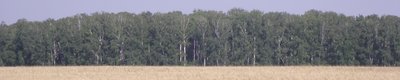 DSCF7855.JPG