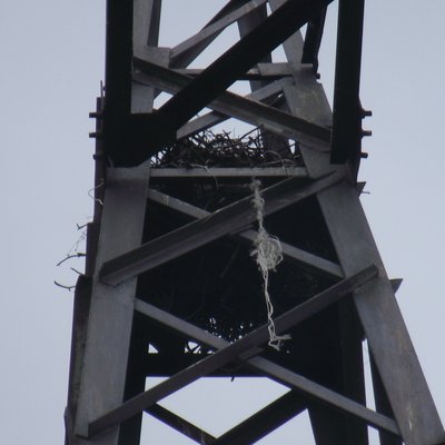 DSCF7268.JPG