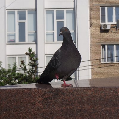 DSCF7280.JPG