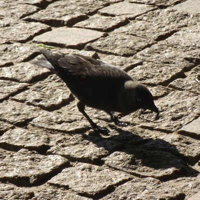 DSCF7289.JPG