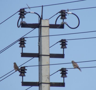DSCF2875.jpg
