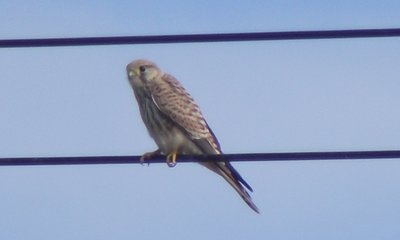 DSCF2876.jpg